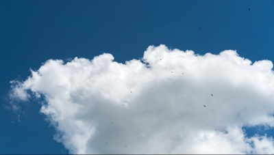 A vrut să fotografieze cerul și ... SURPRIZĂ! NASA trebuie să studieze imaginile astea