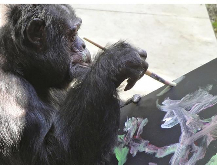 Îți amintești de cimpanzeul lui Michael Jackson? A ajuns celebru în lumea artei
