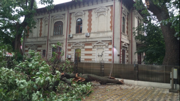 10 persoane, rănite de o furtună violentă, în Galaţi. Peste 100 de arbori, doborâţi, maşini avariate