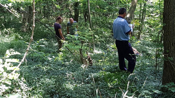 Cruzime extremă: Trei câini, spânzuraţi într-o pădure din Vâlcea. Poliţia a deschis dosar penal