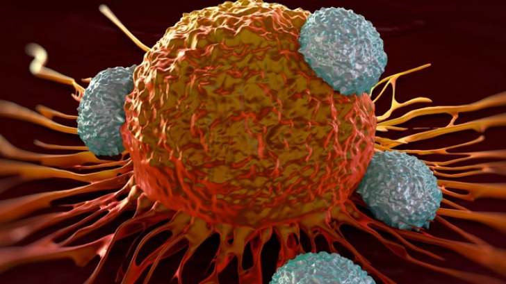 Multă lume nu ştie însă cu toţii avem celule canceroase în corp. Ce le face să se răspândească?