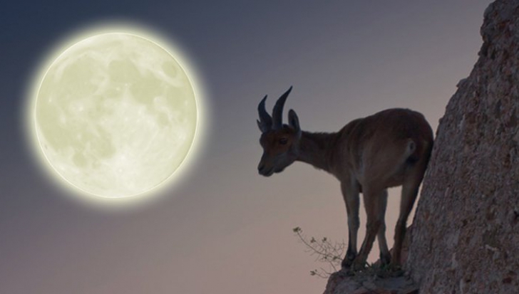 Luna Plină în Capricorn și mesajul transmis pentru fiecare zodie 