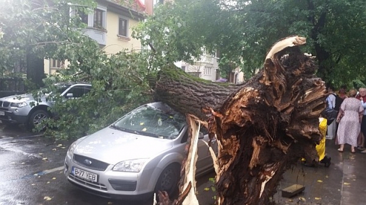 Furtuna a făcut prăpăd în București! Mai multe mașini au fost distruse