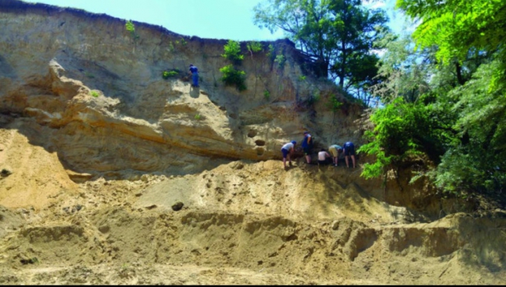 Descoperire UIMITOARE pentru România: fosile ale unor elefanţi, rinoceri şi antilope.Unde s-au găsit