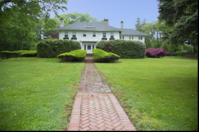 Vila SUPERBĂ care se vinde cu doar 38 de lei: un DETALIU îi sperie pe cumpărători