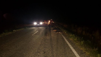 Accident straniu în România. Polițiștii ajunși au înghețat: zăceau pe șosea, toți 33