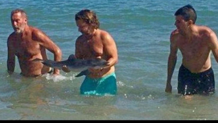 Revoltător! Au scos un delfin din apă pentru a-și face un selfie cu el! Ce a urmat