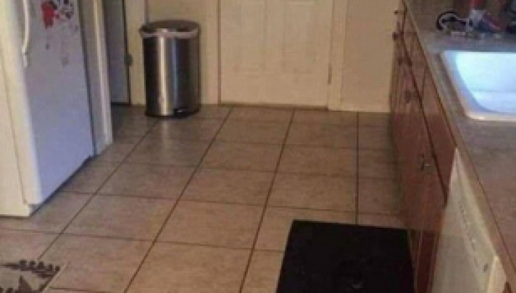 Aceasta este cea mai tare iluzie optică de pe internet. Poți vedea câinele din imagine?
