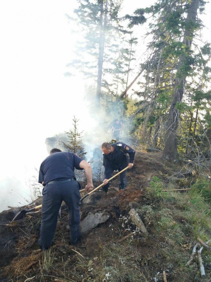 Incendiu puternic în Bistrița-Năsăud. Au ars opt hectare de pădure