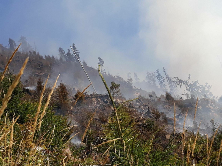 Incendiu puternic în Bistrița-Năsăud. Au ars opt hectare de pădure