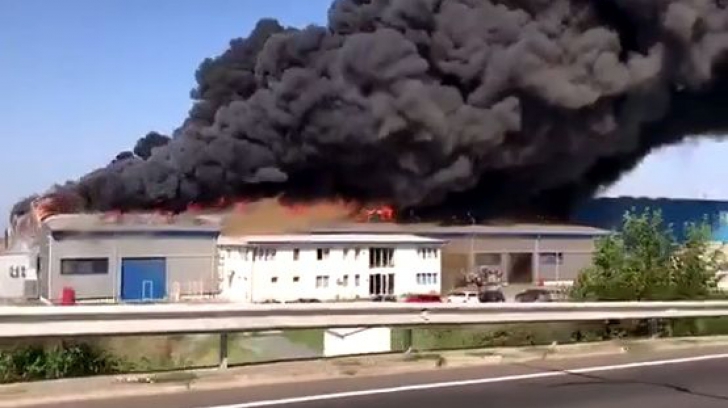 VIDEO. Incendiu violent la Timişoara. Zeci de muncitori surprinşi în fabrica cuprinsă de flăcări