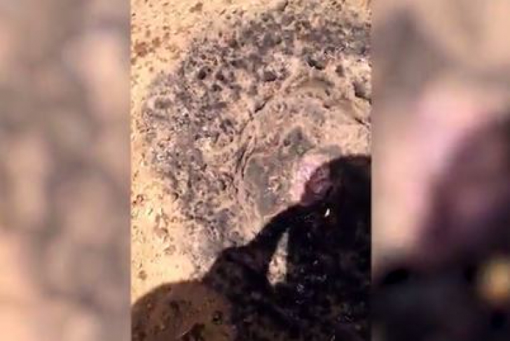 Un meteorit s-a prăbușit în fața casei sale. E incredibil cum arată. Încă ardea