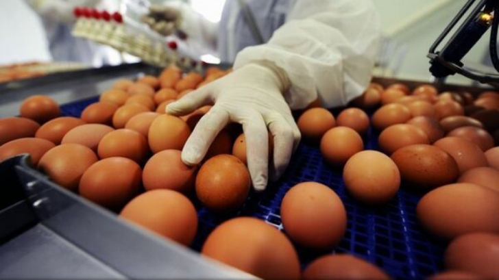 Scandalul ouălor contaminate cu insecticid se extinde: 17 state europene afectate