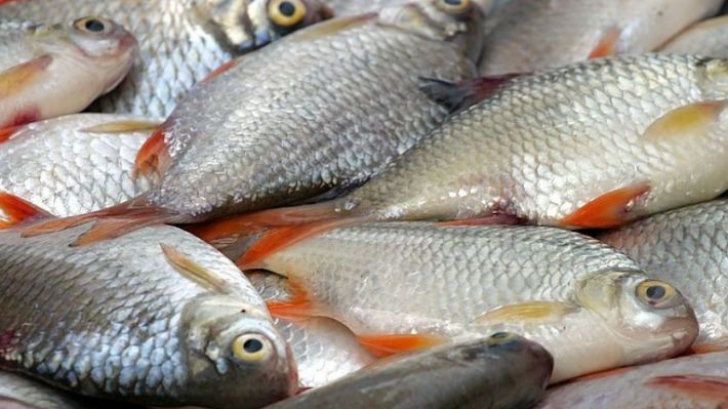 Protecţia Consumatorului vă sfătuieşte să fiţi atenţi atunci când cumpăraţi peşte.