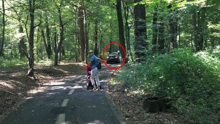 FOTO. Gestul unui şofer i-a indignat pe turişti: "Nu mi-a venit să cred"