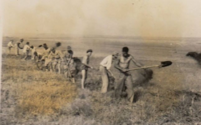 Imagini rare de la canalul Dunăre-Marea Neagră, inaugurat de Nicolae Ceaușescu | FOTO