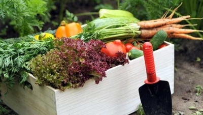 10 fructe şi legume de toamnă care fortifică imunitatea