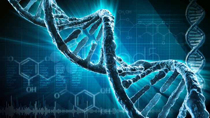 Descoperire uimitoare despre ADN-ul uman: mesajul secret sau semnătura creatorului