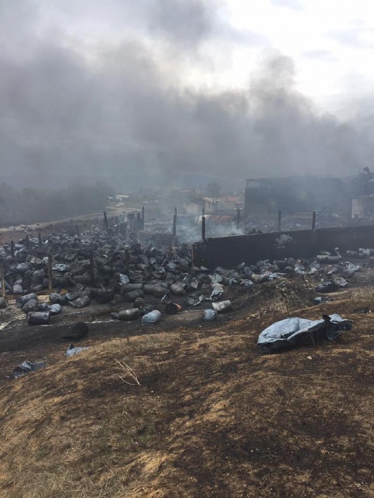 GALERIE FOTO. Imagini apocaliptice, după incendiul violent care a cuprins o fabrică din vestul ţării