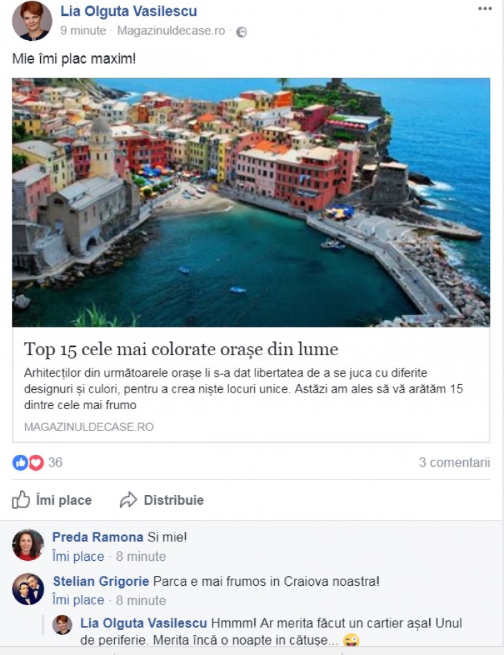 Lia Olguţa Vasilescu, pe Facebook: "Un cartier aşa în Craiova merită încă o noapte în cătuşe"