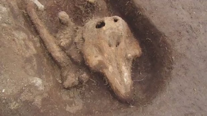 Descoperire bizară într-un cimitir medieval izolat: "Nu am mai întâlnit aşa ceva"