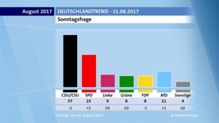 Alegeri cruciale în Germania: Ce spun ultimele sondaje de opinie