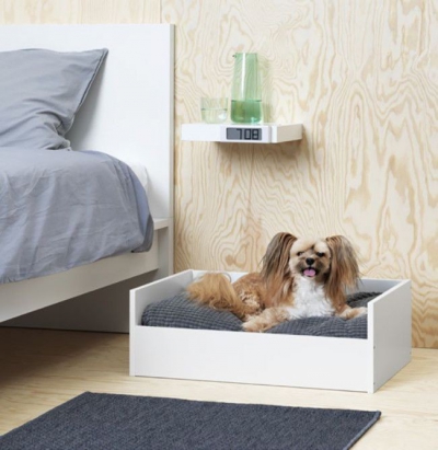 IKEA, mişcare SURPRIZĂ - stăpânii de câini şi pisici, în culmea bucuriei!