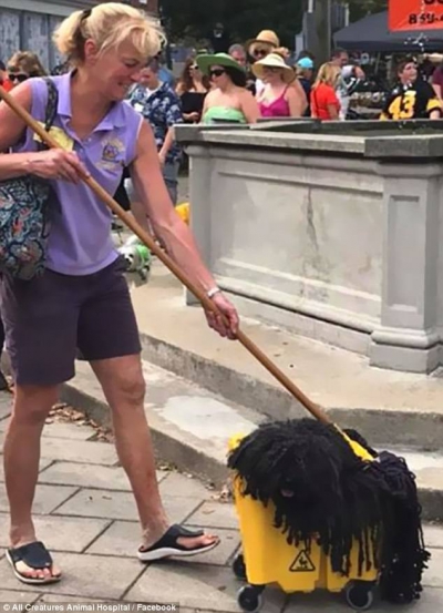 Cel mai amuzant costum pentru Halloween e purtat de...un câine