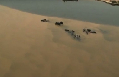 Parcul Naţional Bwabwata