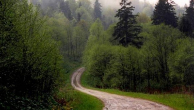 Şi-a dus băiatul în pădure, l-a legat de copac şi l-a tăiat pe mâni. A filmat şi i-a trimis soţiei