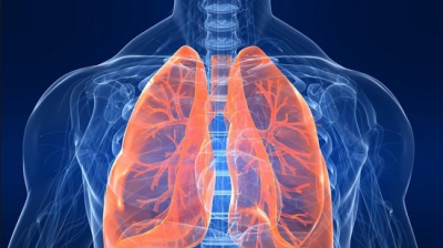 Obiceiuri zilnice care te &icirc;mbolnăvesc de cancer pulmonar