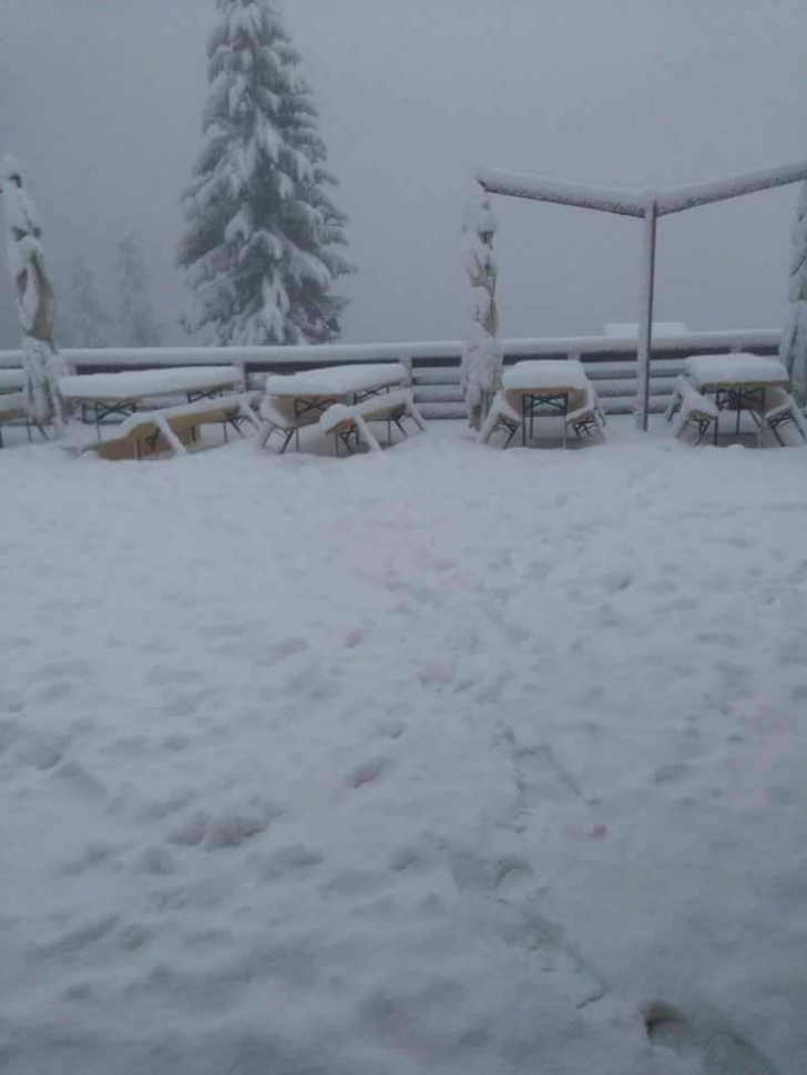 IMAGINI de poveste cu ninsoarea căzută în această dimineață în România 