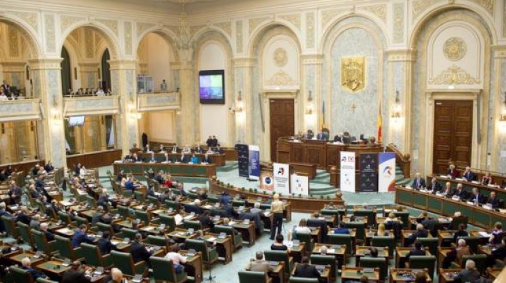 Senatorii decid astăzi dacă românii vor mai avea încă o sărbătoare naţională