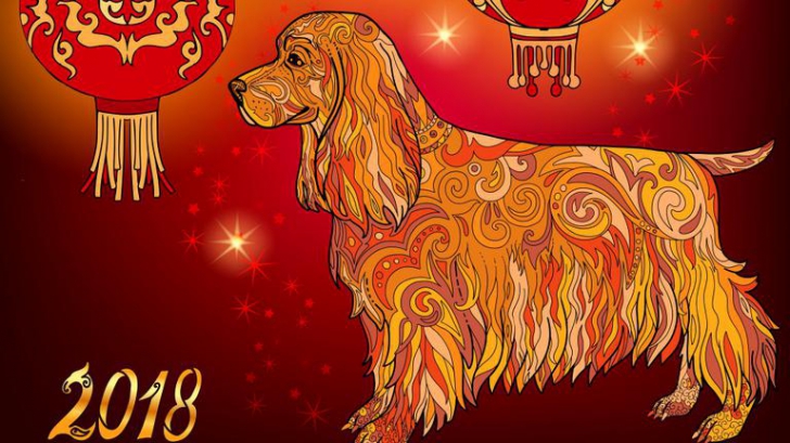 Anul Câinelui de Pământ: sunt favorizate schimbări majore pentru această zodie 