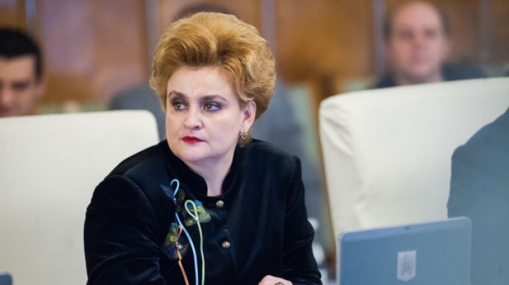 Un ministru nervos. Graţiela Gavrilescu a ţipat la un jurnalist şi a părăsit conferinţa de presă