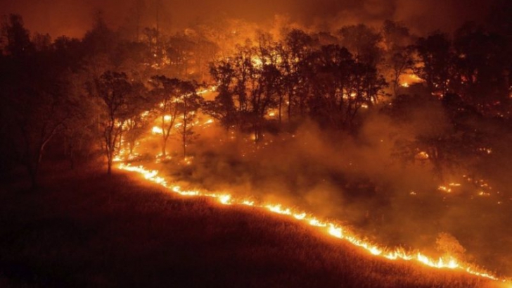 Incendiu puternic în Caraş-Severin 