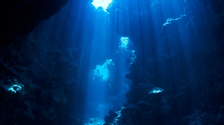 Descoperire stranie a cercetătorilor pe fundul Oceanului, în cel mai adânc loc de pe Pământ