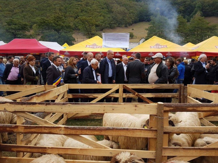 Petre Daea: "Sunt un suflet care arde pentru agricultura ţării româneşti. Sunt o carte citită"