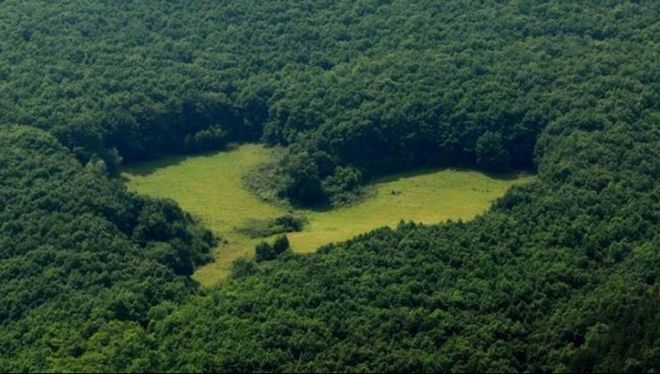 Miracolele României. Inima apărută în mijlocul unei păduri de stejar