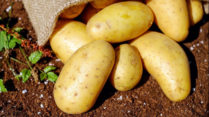 Cum se gătesc corect cartofii ca să nu îngrașe