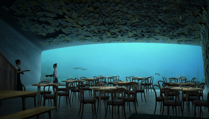 VIDEO. Primul restaurant subacvatic din Europa, la 5 metri sub apă
