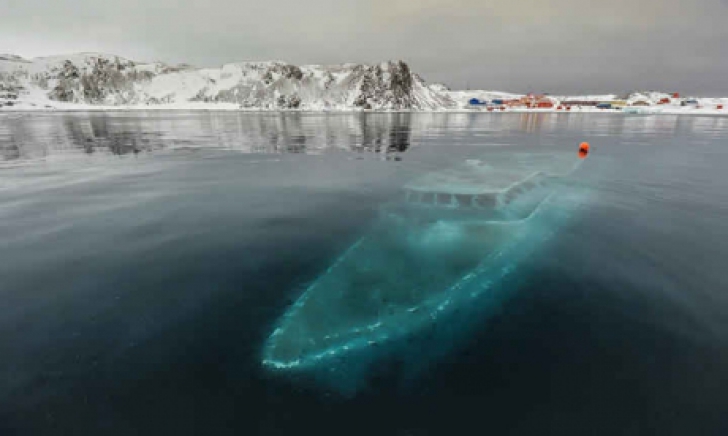 Ce au găsit exploratorii sub apa îngheţată din Antarctica e HORROR! Era acolo de zeci de ani