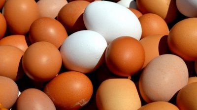 Ce spun marile magazine în scandalul de scumpire a ouălor