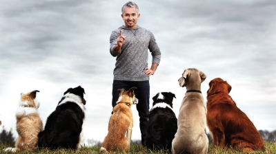 Cesar Millan Live! The Dog Whisperer revine la București!