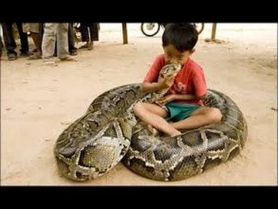 Tânăra aceasta şi-a cumpărat un şarpe uriaş ca animal de companie. Ce a urmat este ireal!