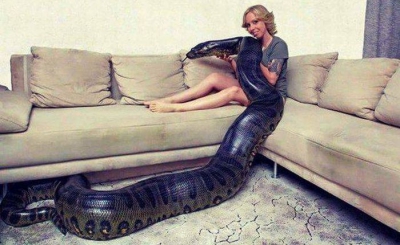 Tânăra aceasta şi-a cumpărat un şarpe uriaş ca animal de companie. Ce a urmat este IREAL!