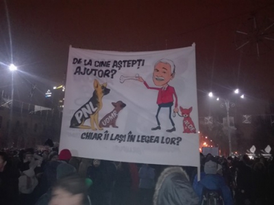 Cele mai amuzante pancarte de la protestul din Piaţa Victoriei: "Dragă OLAF, ne scapi de Dragnea?"