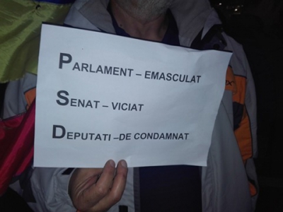 Cele mai amuzante pancarte de la protestul din Piaţa Victoriei: "Dragă OLAF, ne scapi de Dragnea?"