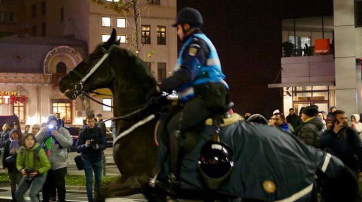 Cristina Guseth, indignată și speriată de caii Jandarmeriei: Acest abuz să fie văzut în lumea largă