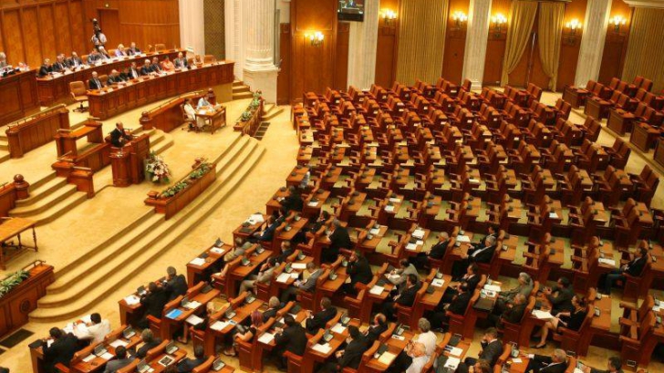 Cum s-a văzut circul din Parlament: de la „papagalii statului paralel” la „poziția ghiocelului”